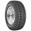 245/80 R17 121Q