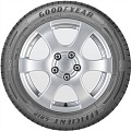225/55 R17 101V XL