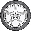 215/60 R16 99V XL M+S