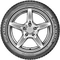 225/45 R17 94V XL M+S