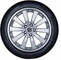 255/50 R19 107H XL M+S