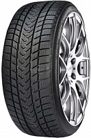 GRIPMAX PRO WINTER XL 285/40 R21 109V XL