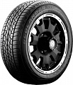 225/60 R17 99V