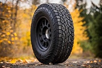 265/60 R18 110T