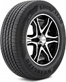 275/45 R21 110V XL M+S