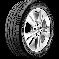 255/60 R20 113V XL